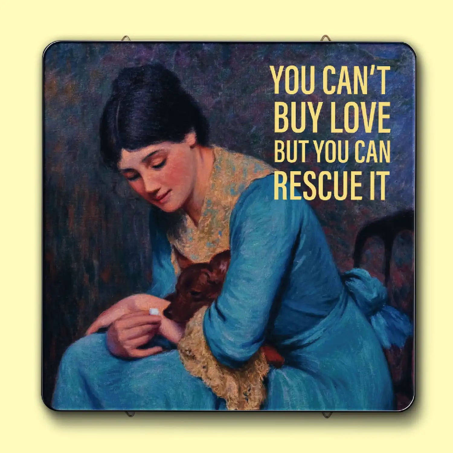 The Rescue Dog Woody